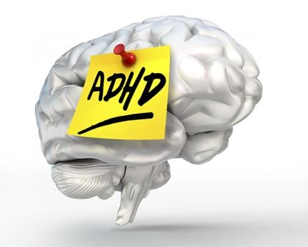 Brain with ADHD sign on it